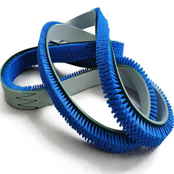 Flat Belt Brushes - All industrial Brushes Manufacturers