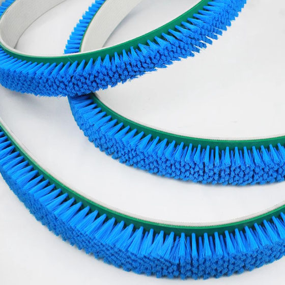 Flat Belt Brushes - All industrial Brushes Manufacturers